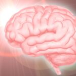 高額情報商材・知識共有プラットフォーム「Brain(ブレインマーケット)」の詐欺被害の返金方法・手順・相談窓口【最終手段は弁護士・司法書士】