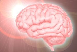 高額情報商材・知識共有プラットフォーム「Brain(ブレインマーケット)」の詐欺被害の返金方法・手順・相談窓口【最終手段は弁護士・司法書士】