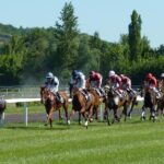 競馬(馬券)予想サイト・情報提供詐欺被害の返金方法・手順・相談窓口【最終手段は弁護士・司法書士】