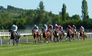 競馬(馬券)予想サイト・情報提供詐欺被害の返金方法・手順・相談窓口【最終手段は弁護士・司法書士】